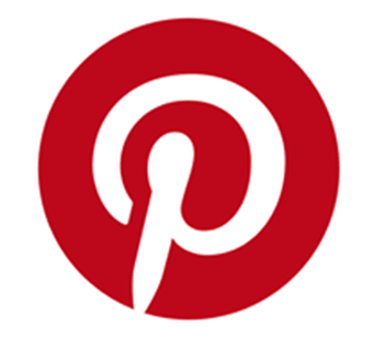 Pinterest Insights Logo